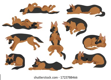 Sleeping dogs poses. German shepherd dogs. Vector illustration