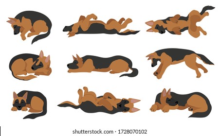 Sleeping dogs poses. German shepherd dogs. Vector illustration