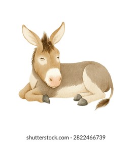 Sleeping donkey on the ground closeup