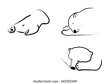 sleeping drawing white and brown bears, cute bear, predatory animals, vector illustration