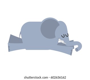 Sleeping elephant. Animal africa is sleeping. Sleepy wild beast
