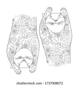 Sleeping flower cats lie on their backs. Relax conception ink hand drawn stock vector illustration for coloring book, for web, for print