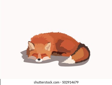 Sleeping Fox