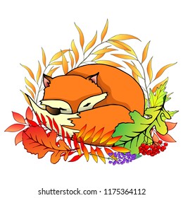 A sleeping fox in the autumn foliage