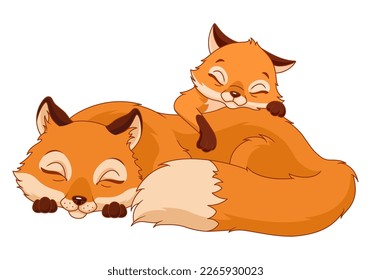 Sleeping fox and fox cub cartoon vector illustration