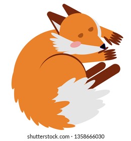 sleeping fox flat illustration on white