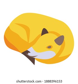 Sleeping fox icon. Isometric of sleeping fox vector icon for web design isolated on white background