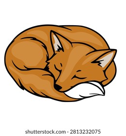 Sleeping fox illustration, cute curled red fox vector isolated on white background