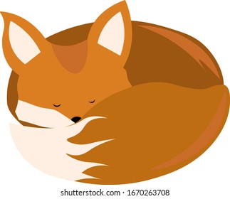 Sleeping fox, illustration, vector on white background.