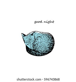 The sleeping fox. Vector illustration.