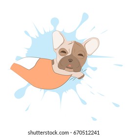 Sleeping french bulldog portrait on a background of blots. Head of dog vector illustration. Pretty puppy cartoon character.
