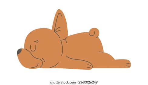 Sleeping French Bulldog Vector Illustration