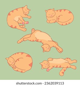 Schlafende Ingwer Katze in verschiedenen Positionen. Geröllte rote Tabbierkatze schläft. Schlampige Katze. Vektorgrafik