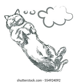 Sleeping gray cat. Vector illustration. Hand pencil drawing.