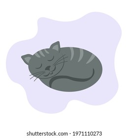 Sleeping gray tabby cat, pet curled up in a circle and covered with its tail vector illustration for design