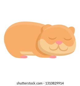 Sleeping hamster icon. Cartoon of sleeping hamster vector icon for web design isolated on white background