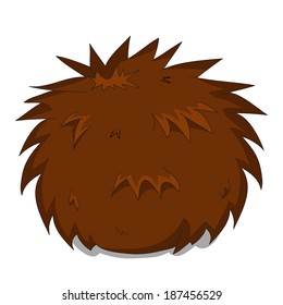 Sleeping hedgehog