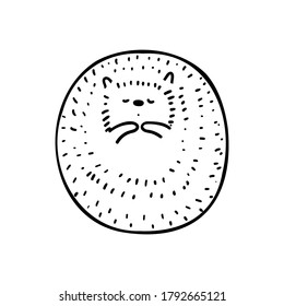 sleeping hedgehog on the white background