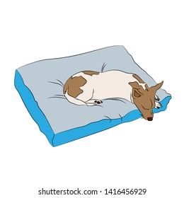 sleeping Jack Russell Terrier on a throw pillow, vector illustration