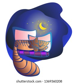 sleeping kitty under the moon