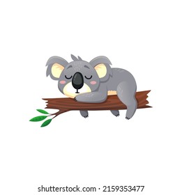 Sleeping koala bear lying on eucalyptus branch isolated funny cartoon character personage. Vector funny koala sleeps on eucalypt tree branch. Happy cute childish gray bear, australian fauna habitat