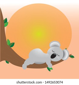 Sleeping Koala on the eucalyptus tree in the sunset vector