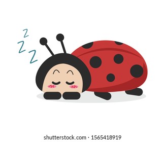 Sleeping Ladybird Vector Cartoon Isolated On White Background. Cute Ladybug Vector Illustration Cartoon. 