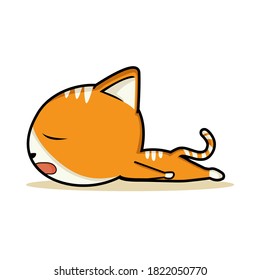 The sleeping lazy cat is the color of an orange
