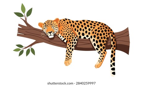 Sleeping Leopard Illustration on Tree Branch