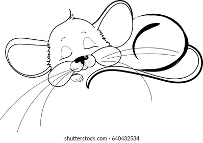 Sleeping mouse on white background