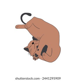 Сat sleeping on its back. Cute brown domestic kitty. Cat lifestyle. Hand drawn vector illustration