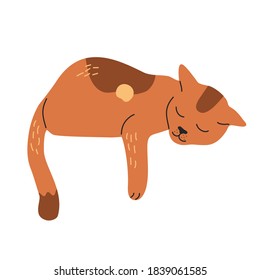 Sleeping orange cat, lazy kitty hand drawn vector illustration in cartoon flat style, isolated on white background.