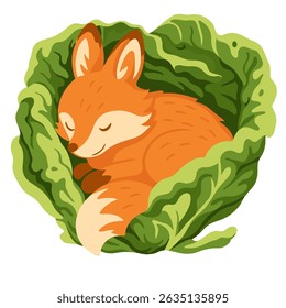 Sleeping orange fox curled inside green cabbage leaves in a cozy layered paper cut style on white background.