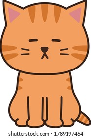 Gato durmiente. Aislado sobre fondo blanco.