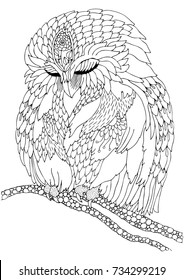 Sleeping owl. Hand drawn picture. Sketch for anti-stress adult coloring book in zen-tangle style. Vector illustration  for coloring page.