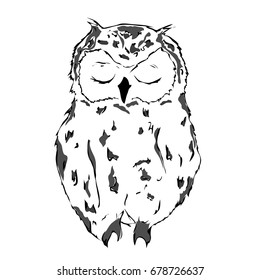 Sleeping owl. Sketch vector illustration