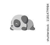 Sleeping panda bear, isolated on white background. Cute funny cartoon giant panda bear lies on its stomach on the ground. Vector illustration in a cartoon style.