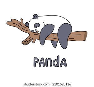 Ilustración vectorial de color de panda durmiente.