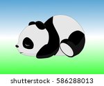 Sleeping panda on the ground against the sky