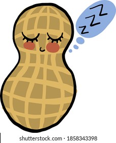 Sleeping peanut in a shell, illustration, vector on white background
