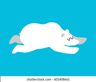 Sleeping polar bear. Arctic and Antarctic animals sleep. Sleepy wild beast