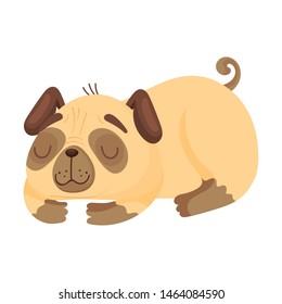 Sleeping pug. Vector illustration on white background.