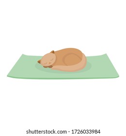Sleeping red cat isolated vector cartoon character