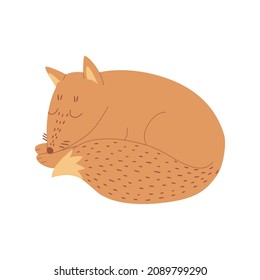 Sleeping red fox in cartoon style, isolated on a white background. Funny animal for web icons, children's design, postcards, etc. Vector illustration.