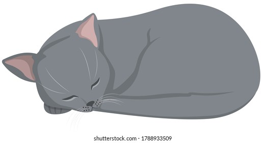 Sleeping Russian Blue cat. Beautiful pet in cartoon style.