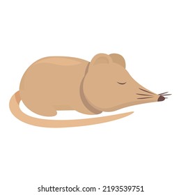 Sleeping shrew icon cartoon vector. Agriculture animal. Tree mouse