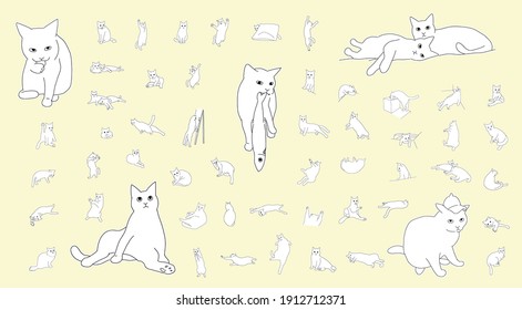 Sleeping, sitting, playing Lots of realistic cat gestures Outline illustration set
