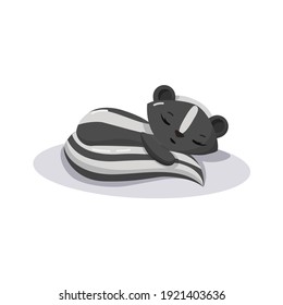 sleeping skunk cartoon curled up  Flat vector illustration isolated
