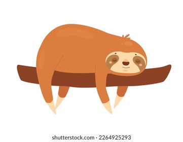 Sleeping sloth on tree branch. Jungle lazy bear, slow moving animal vector illustration