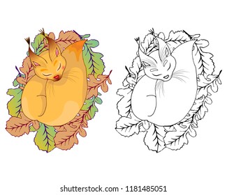 Sleeping squirrel in autumn foliage. Children's coloring. Vector illustration.